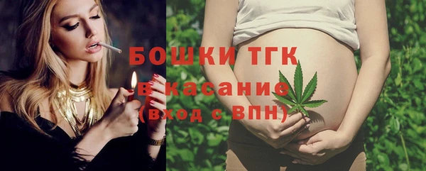 молекула духа Грязовец