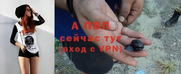 соль ск Бородино