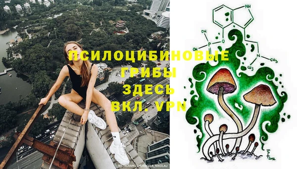 дурь Верея